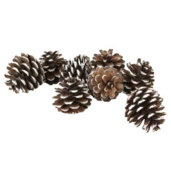 Tannenzapfen Mit Kunstschnee - Aus Holz - Ca. 6 Cm - 8 Stück 5 Tannenzapfen Mit Kunstschnee - Aus Holz - Ca. 6 Cm - 8 Stück -Heimdekoration Angebote 211253 neu