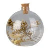 Glasvase Mit Trockenblumen Und Korken - Ca. 10 X 11 Cm -Heimdekoration Angebote 243623 4016096448707 MICA LIVING Flasche 01